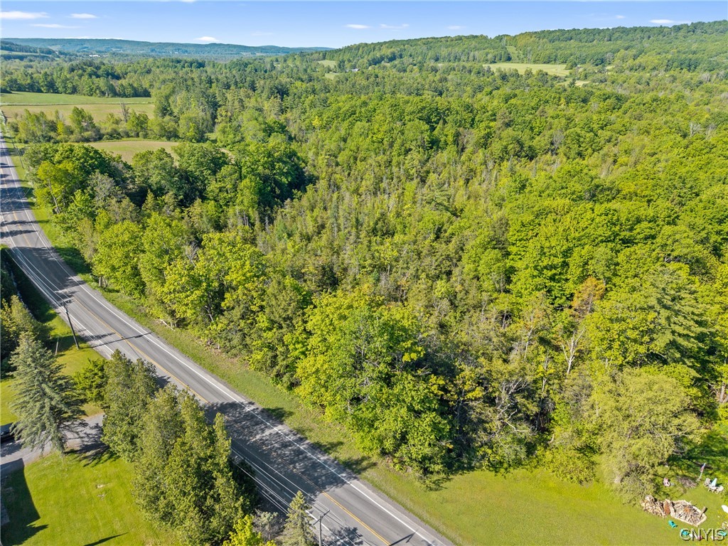 Nelson Road Cazenovia, NY 13035 - Photo 7 of 15