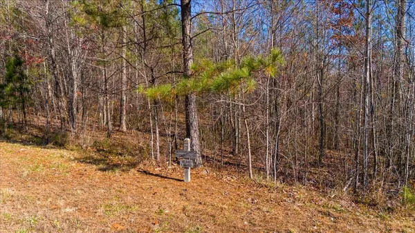 $110,000 | 3685 Crockett Point, Jasper, TN 37347