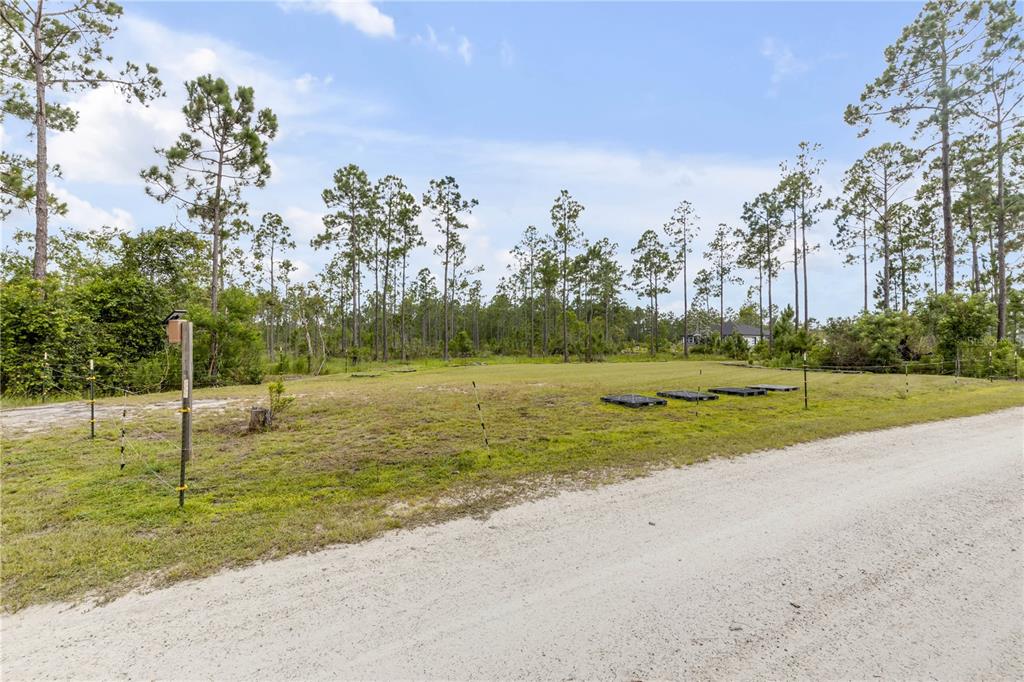 300 Omega Ranch Road Deltona, FL 32738 - Photo 5 of 95