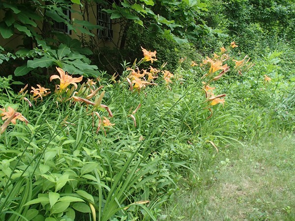 122 Spring Street Amherst, MA 01002 - Photo 7 of 26 Gallery Image 7