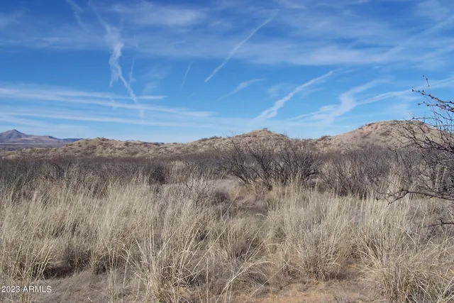 a view of a dry yard with green space