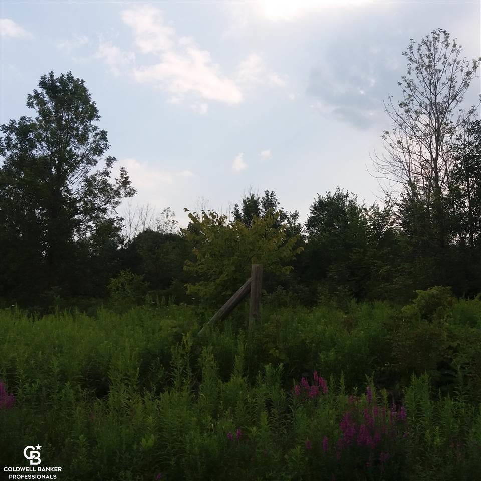 0 Rattle Run Columbus, MI 48063 - Photo 4 of 8