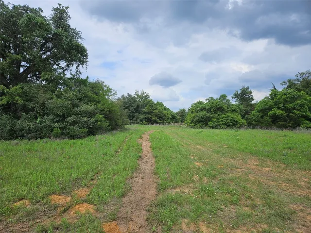 a view of a grassy field with trees around