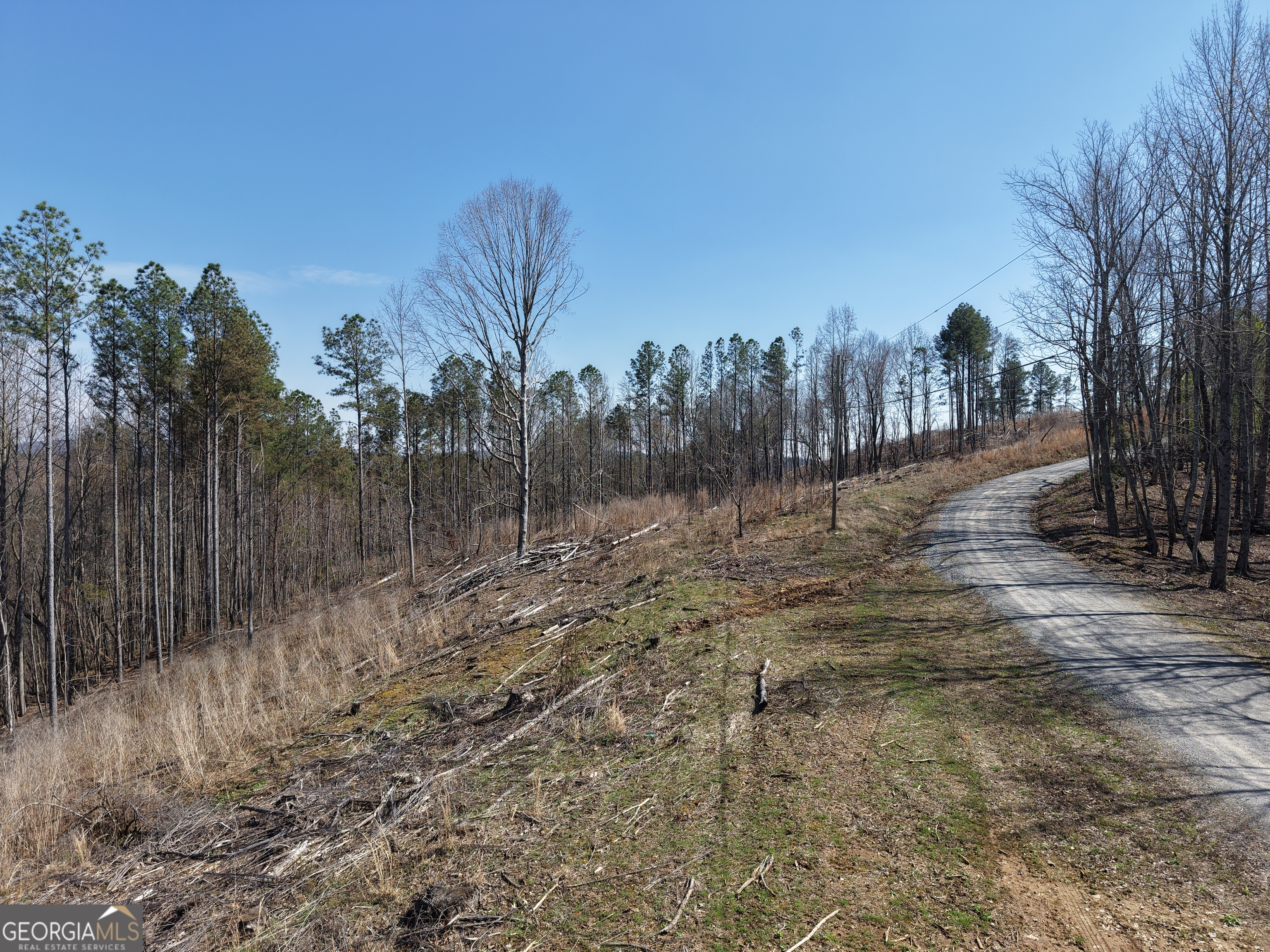 0 Angel Road, Unit 7206 PARCEL F Fairmount, GA 30139 - Photo 6 of 40 a view of a dry yard with trees