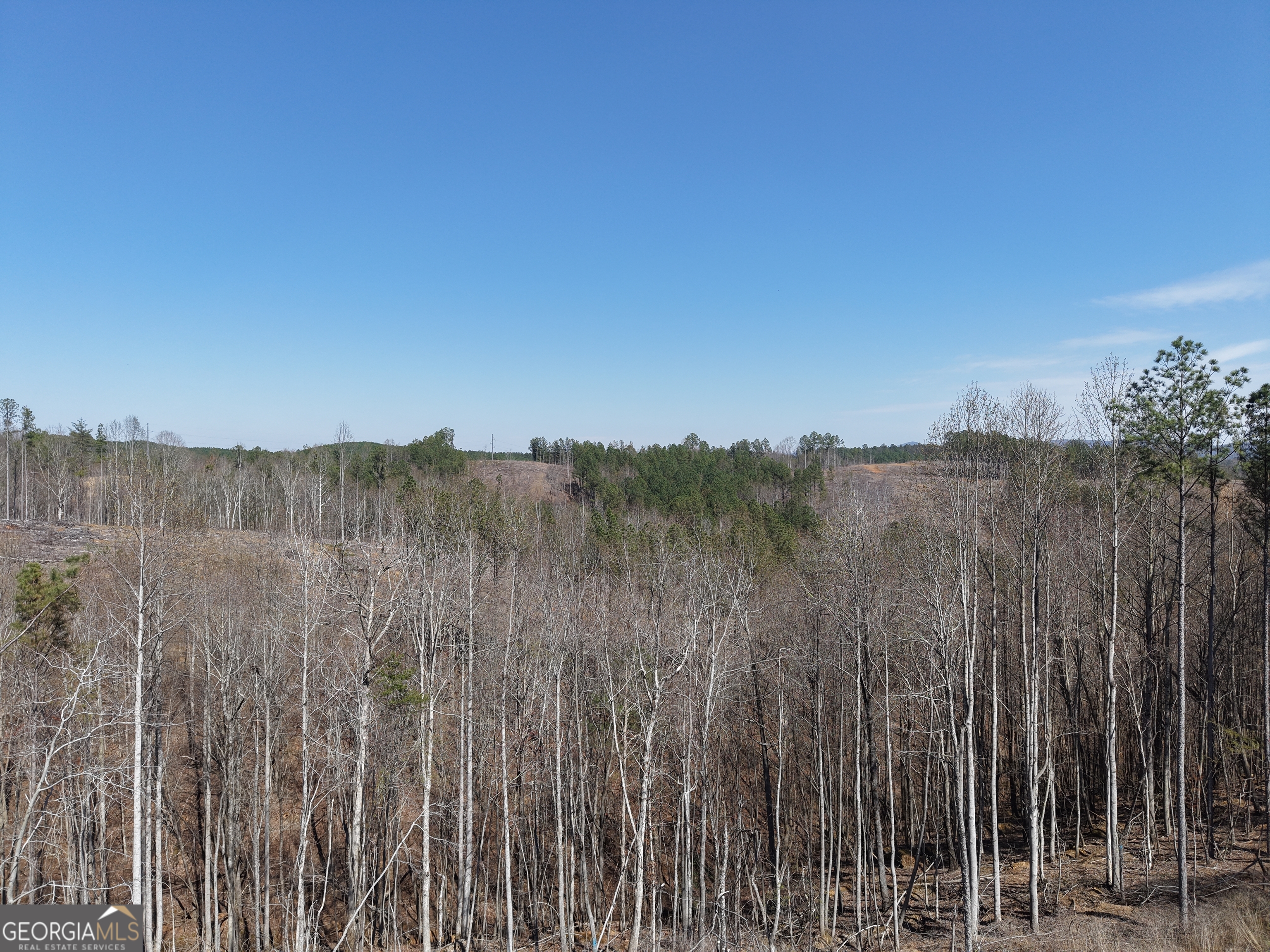 0 Angel Road, Unit 7206 PARCEL F Fairmount, GA 30139 - Photo 9 of 40 a view of a green field with a tree in the background