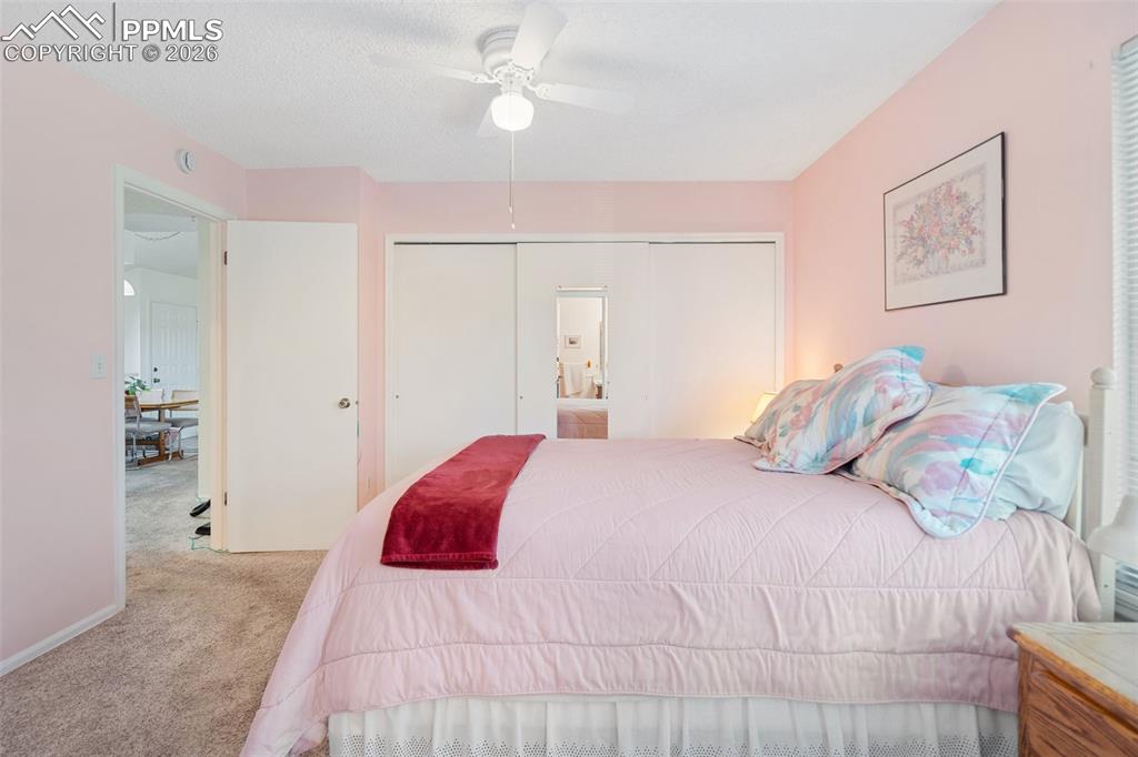 3021 Capstan Way Colorado Springs, CO 80906 - Photo 21 of 34