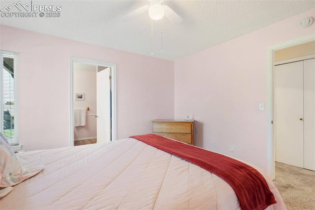 3021 Capstan Way Colorado Springs, CO 80906 - Photo 23 of 34