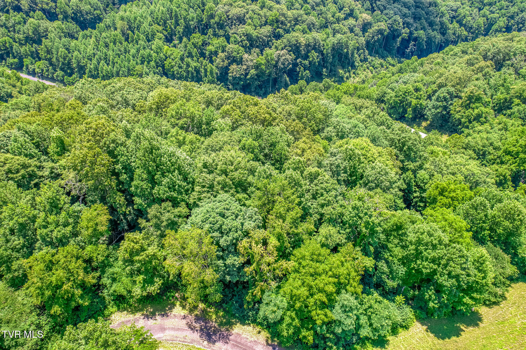 Lot 50 Dry Hill Road, Unit 50 Butler, TN 37640 - Photo 13 of 27 Lot 50, Redbud Cir-5