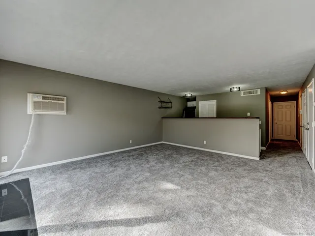 a view of a big room with closet and windows