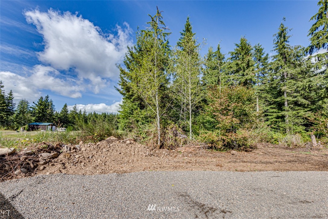 99947 Thomas Street Forks, WA 98331 - Photo 2 of 6 Gallery Image 2