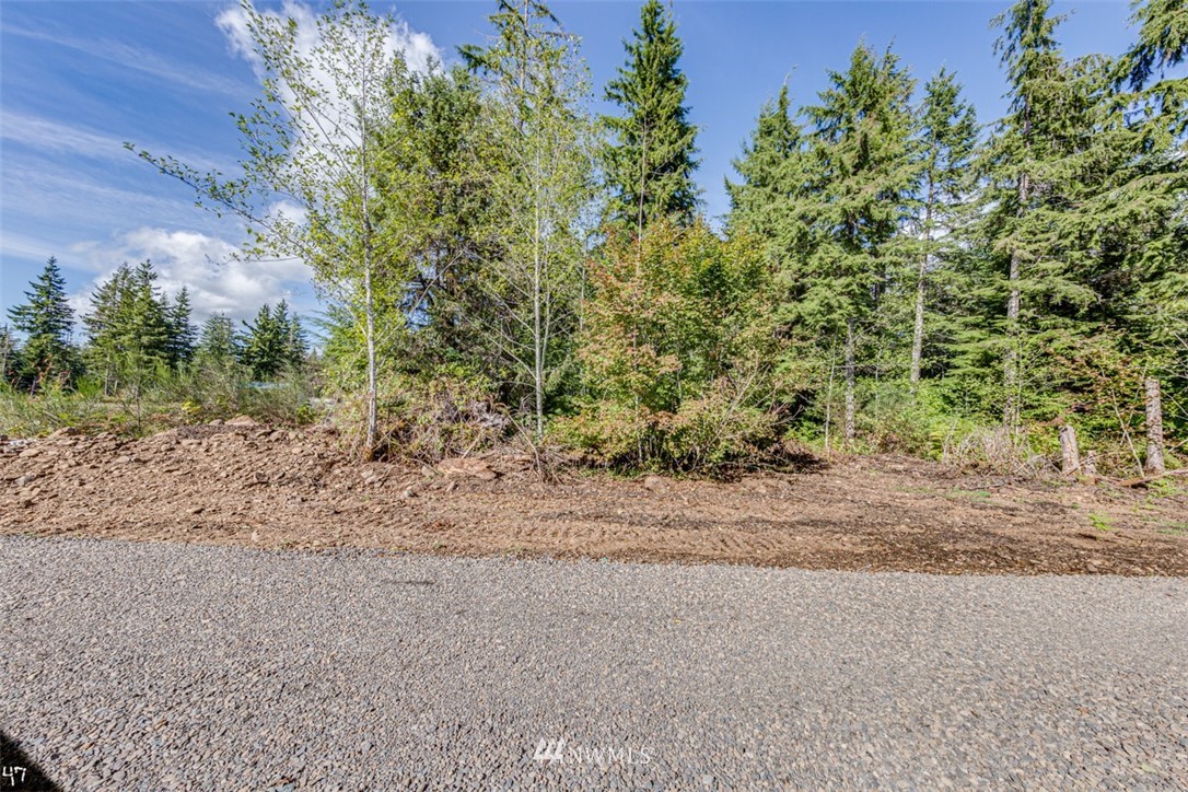 99947 Thomas Street Forks, WA 98331 - Photo 3 of 6 Gallery Image 3