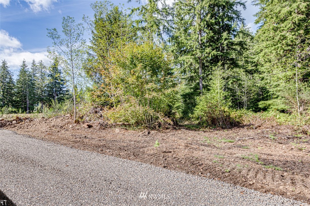 99947 Thomas Street Forks, WA 98331 - Photo 4 of 6 Gallery Image 4