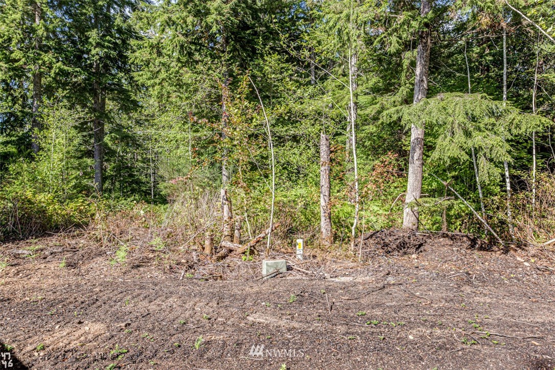 99947 Thomas Street Forks, WA 98331 - Photo 5 of 6 Gallery Image 5