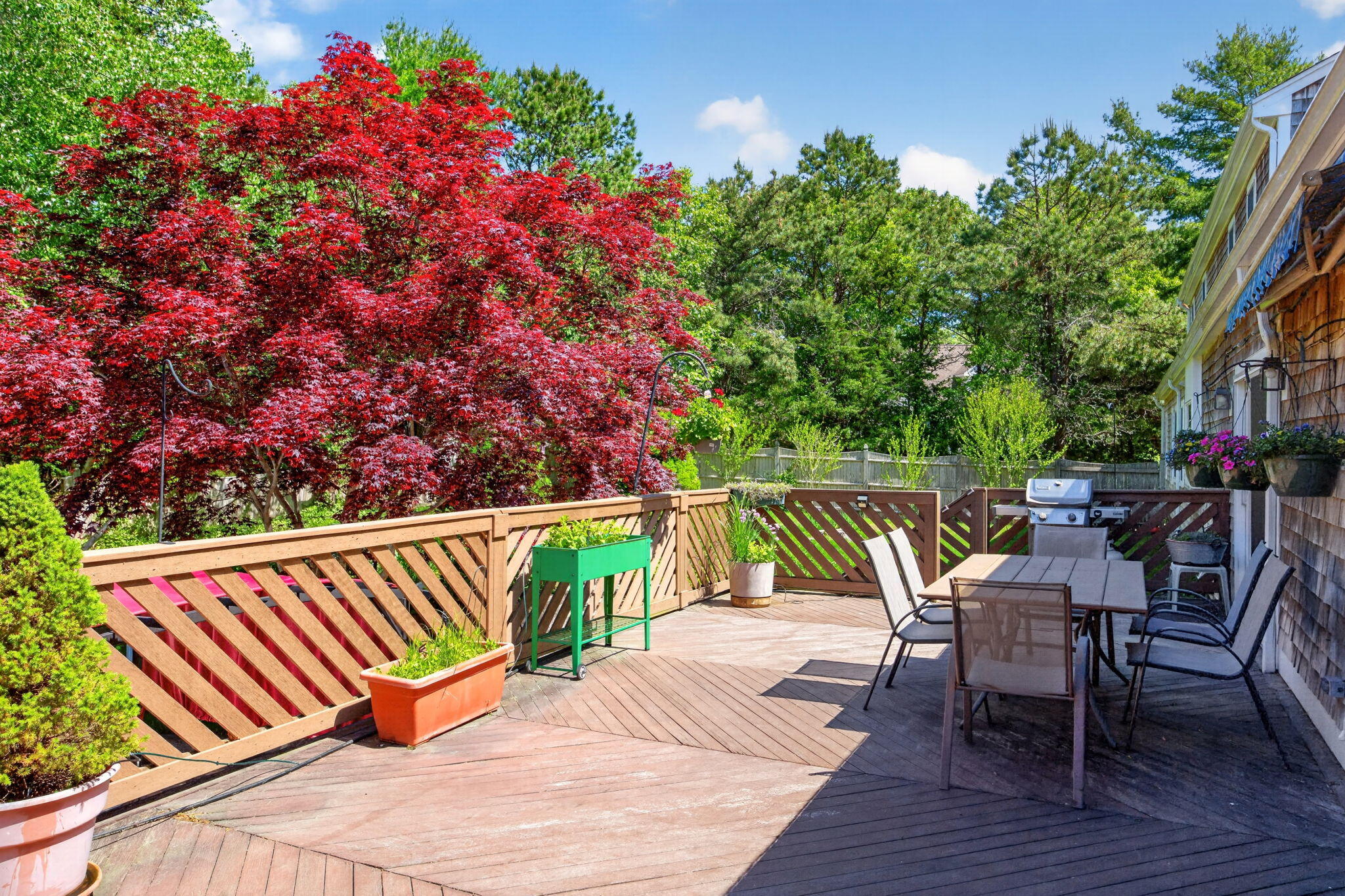 81 Indian Spring Road West Barnstable, MA 02668 - Photo 50 of 64 22-8P0A8717