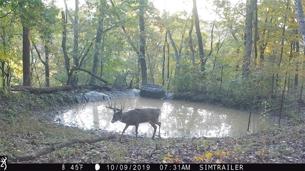 Xx Xx Simons Road Mondovi, WI 54755 - Photo 19 of 45