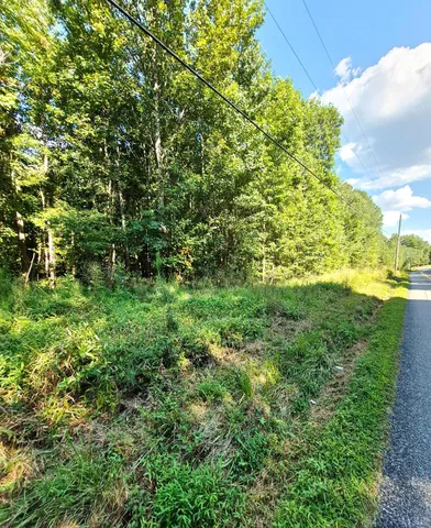 a view of yard with green space