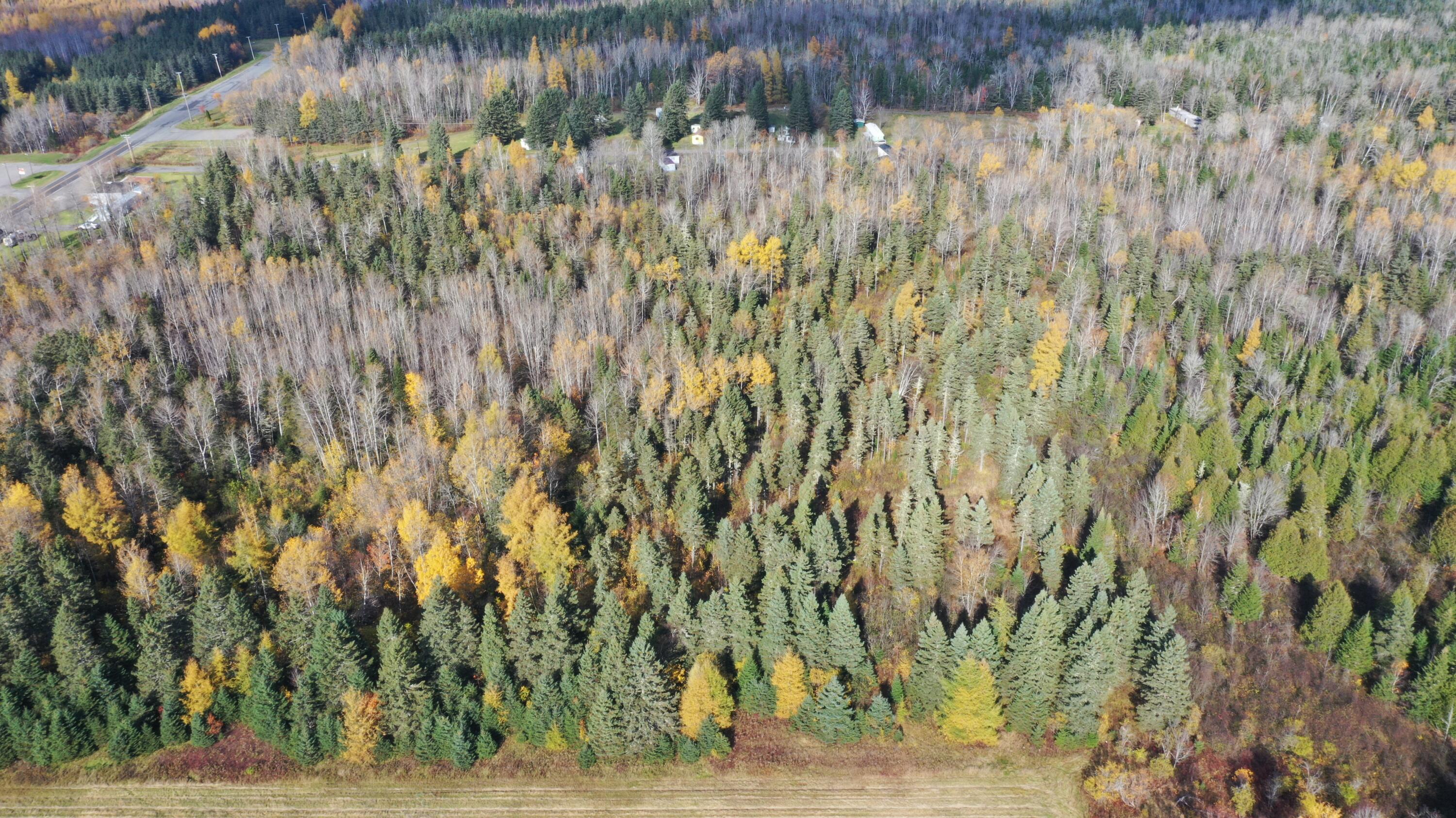 111 Loring Commerce Road Limestone, ME 04750 - Photo 4 of 9 DJI_0148