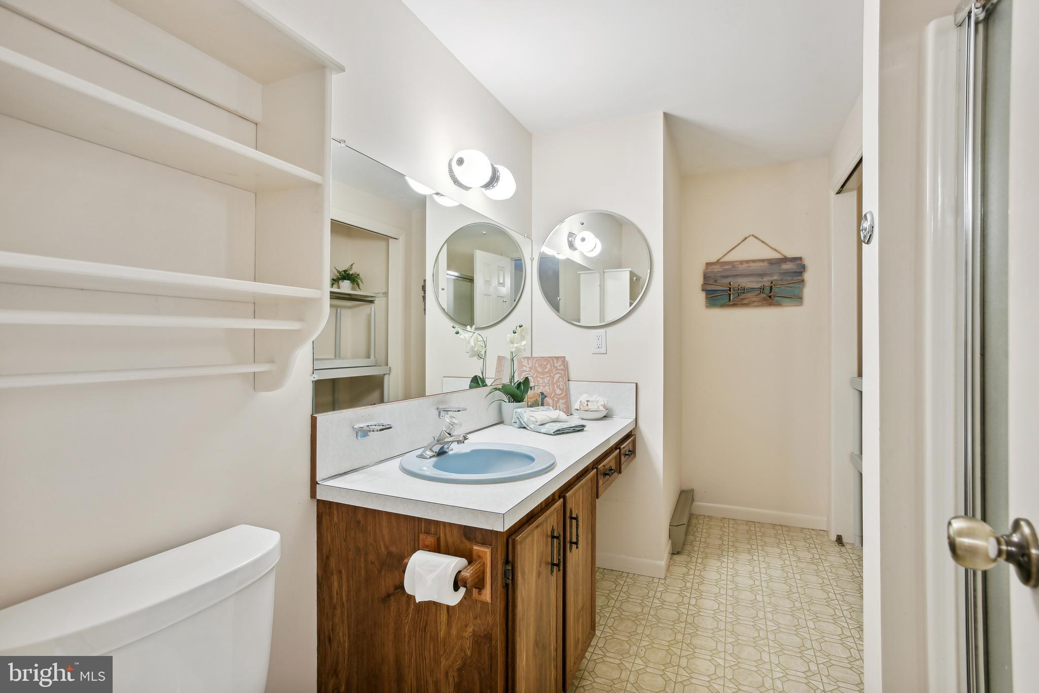 43536 Spinks Ferry Road Leesburg, VA 20176 - Photo 22 of 33 Primary bathroom