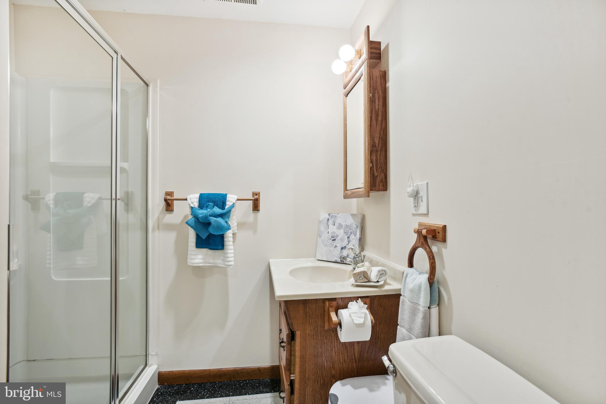 43536 Spinks Ferry Road Leesburg, VA 20176 - Photo 30 of 33 Third bathroom in the basement