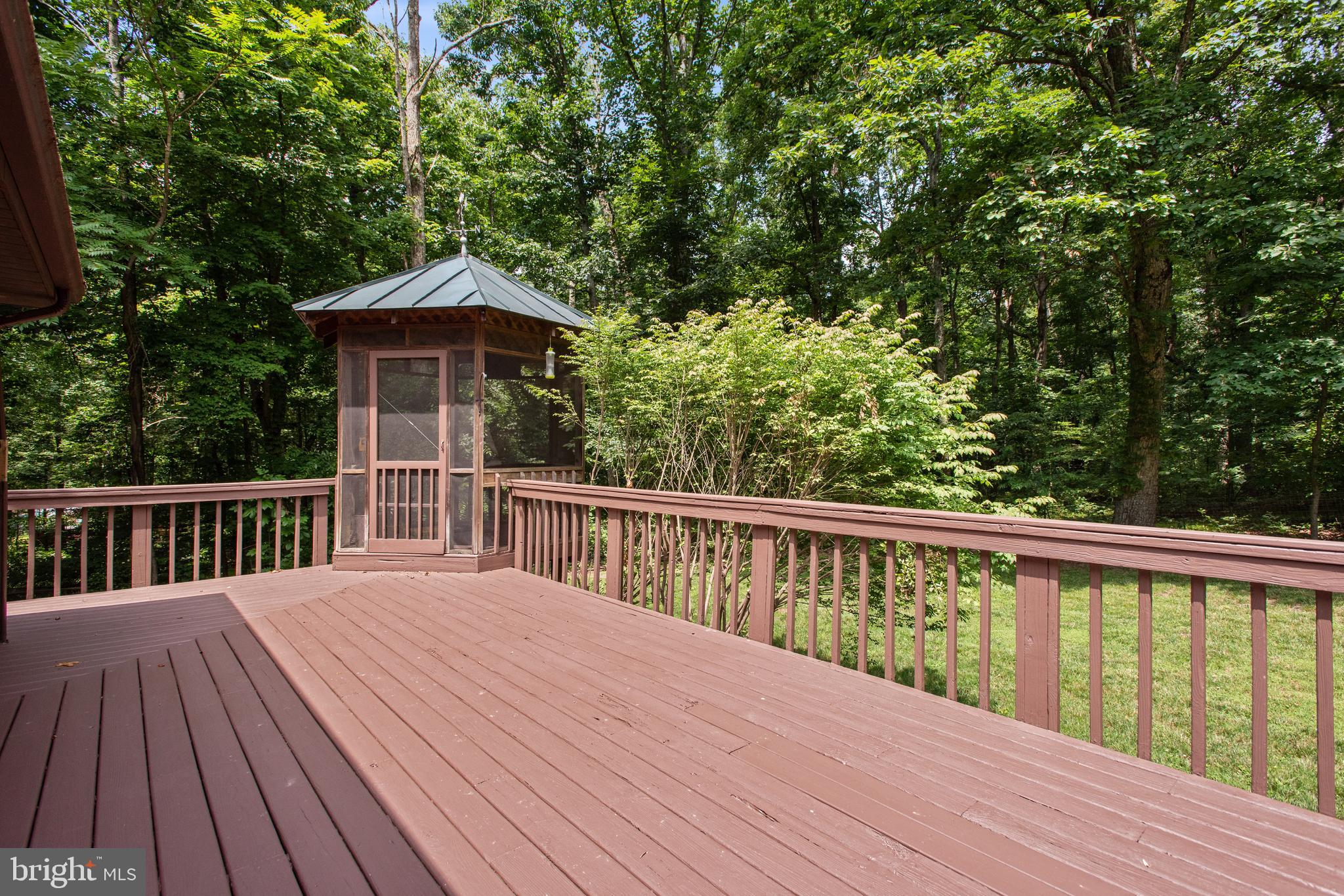 43536 Spinks Ferry Road Leesburg, VA 20176 - Photo 32 of 33 Back deck