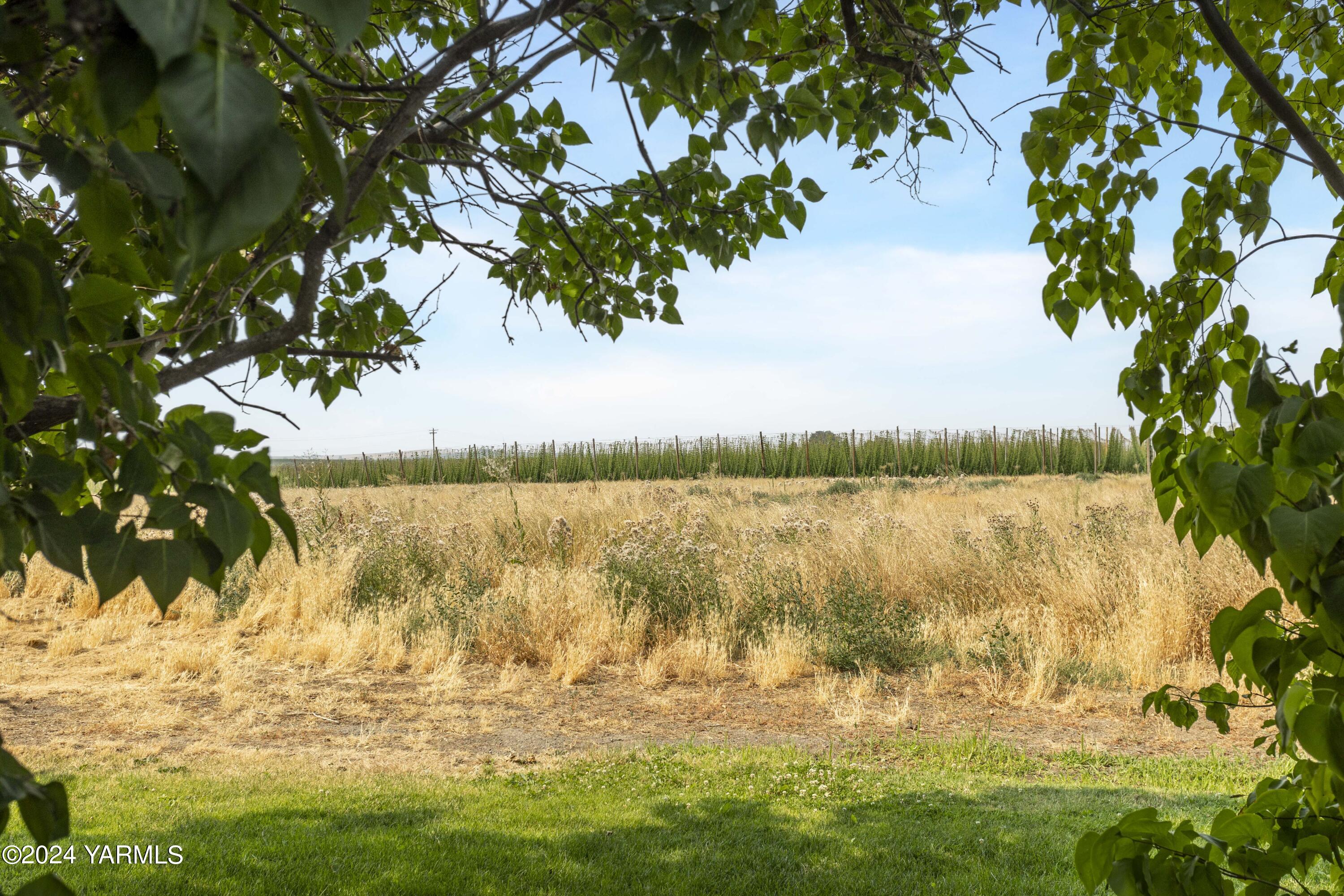 149402 McCreadie Road Prosser, WA 99350 - Photo 40 of 58 a view of lake from a yard