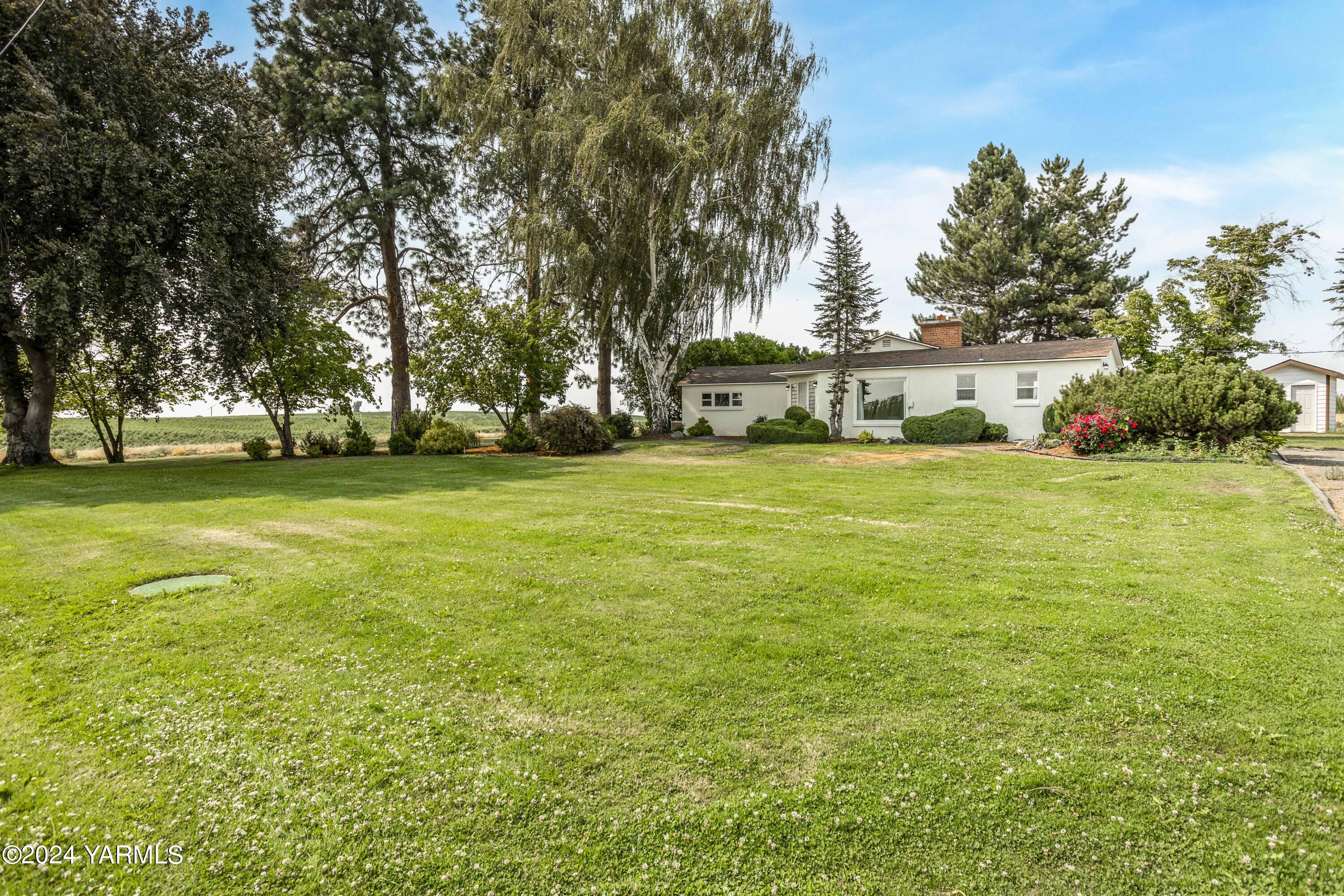 149402 McCreadie Road Prosser, WA 99350 - Photo 47 of 58 a view of a green field with trees in the background