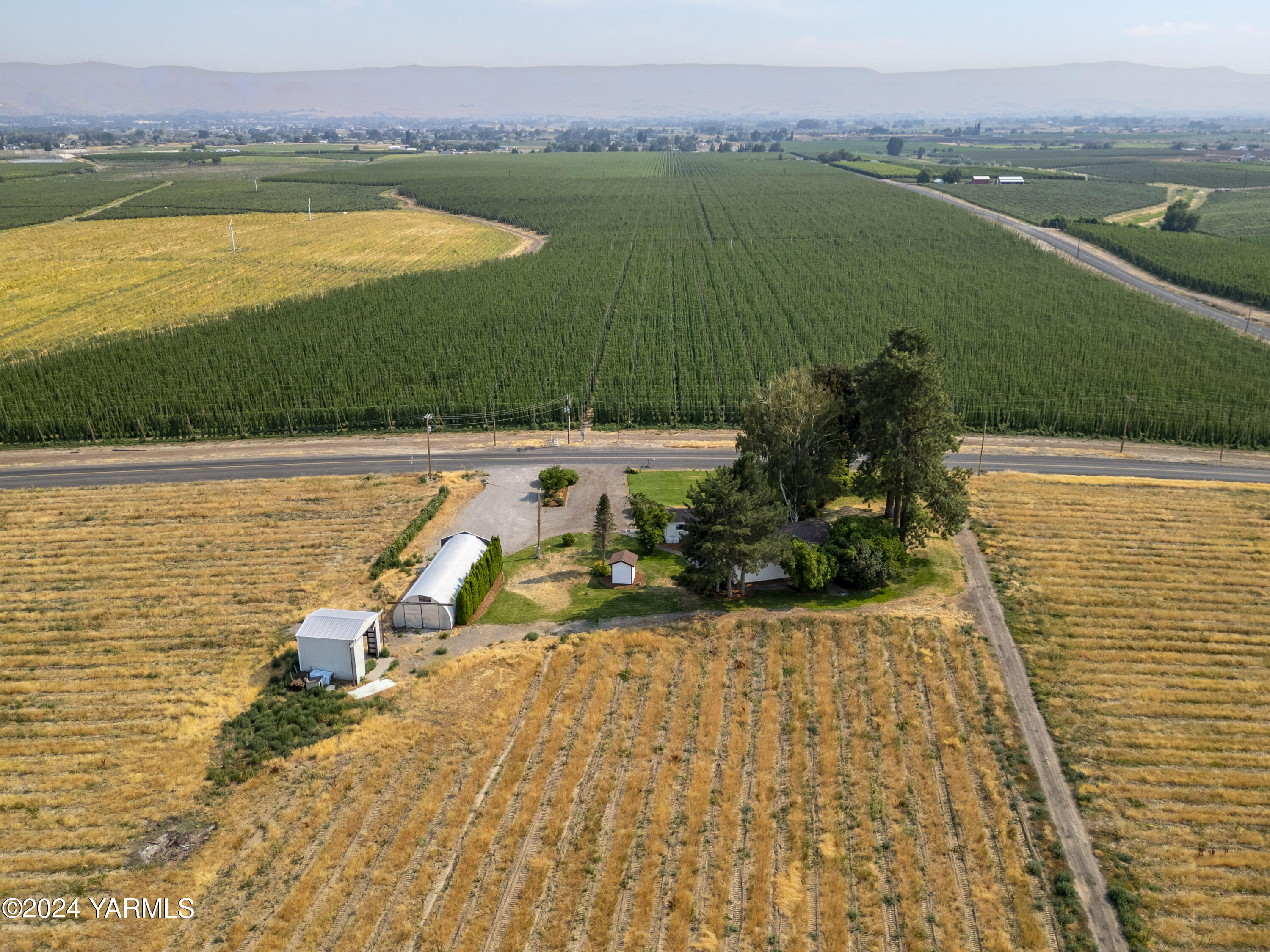 149402 McCreadie Road Prosser, WA 99350 - Photo 5 of 58 149402 W McCreadie Rd 7.22.24 34