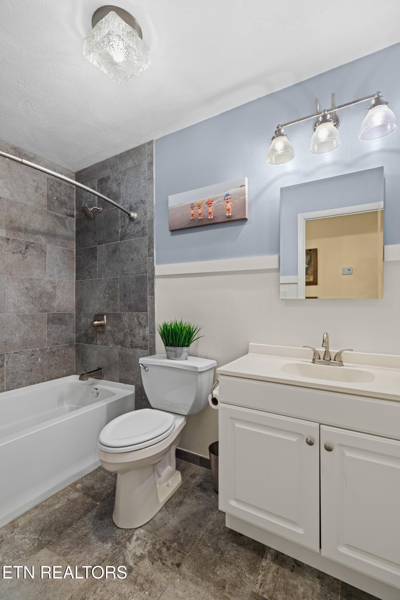 1060 Sunset Circle Newport, TN 37821 - Photo 19 of 46 Hall Bath