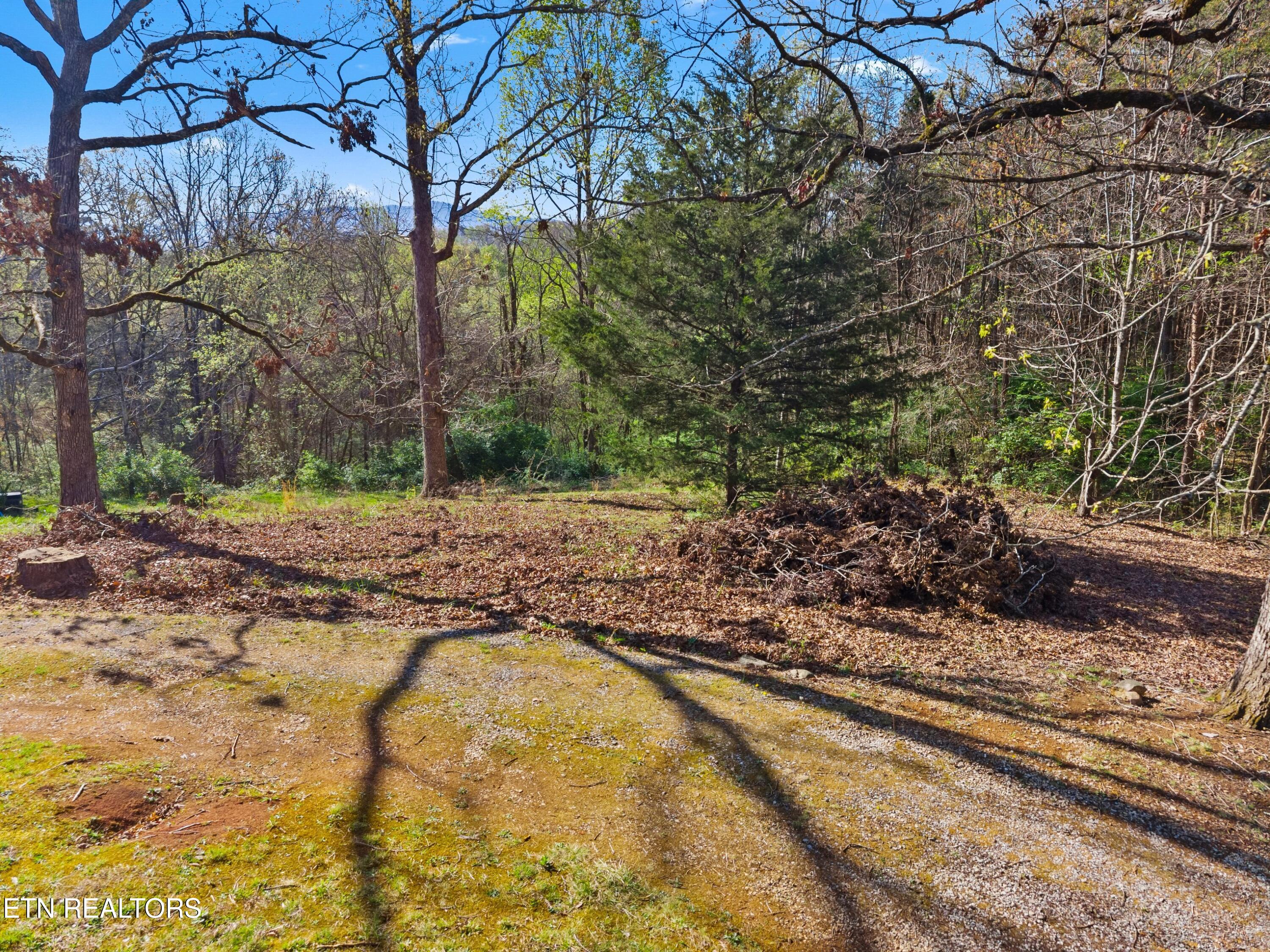 1060 Sunset Circle Newport, TN 37821 - Photo 41 of 46 044-1060SunsetCircle-Newport-TN-37821-SM