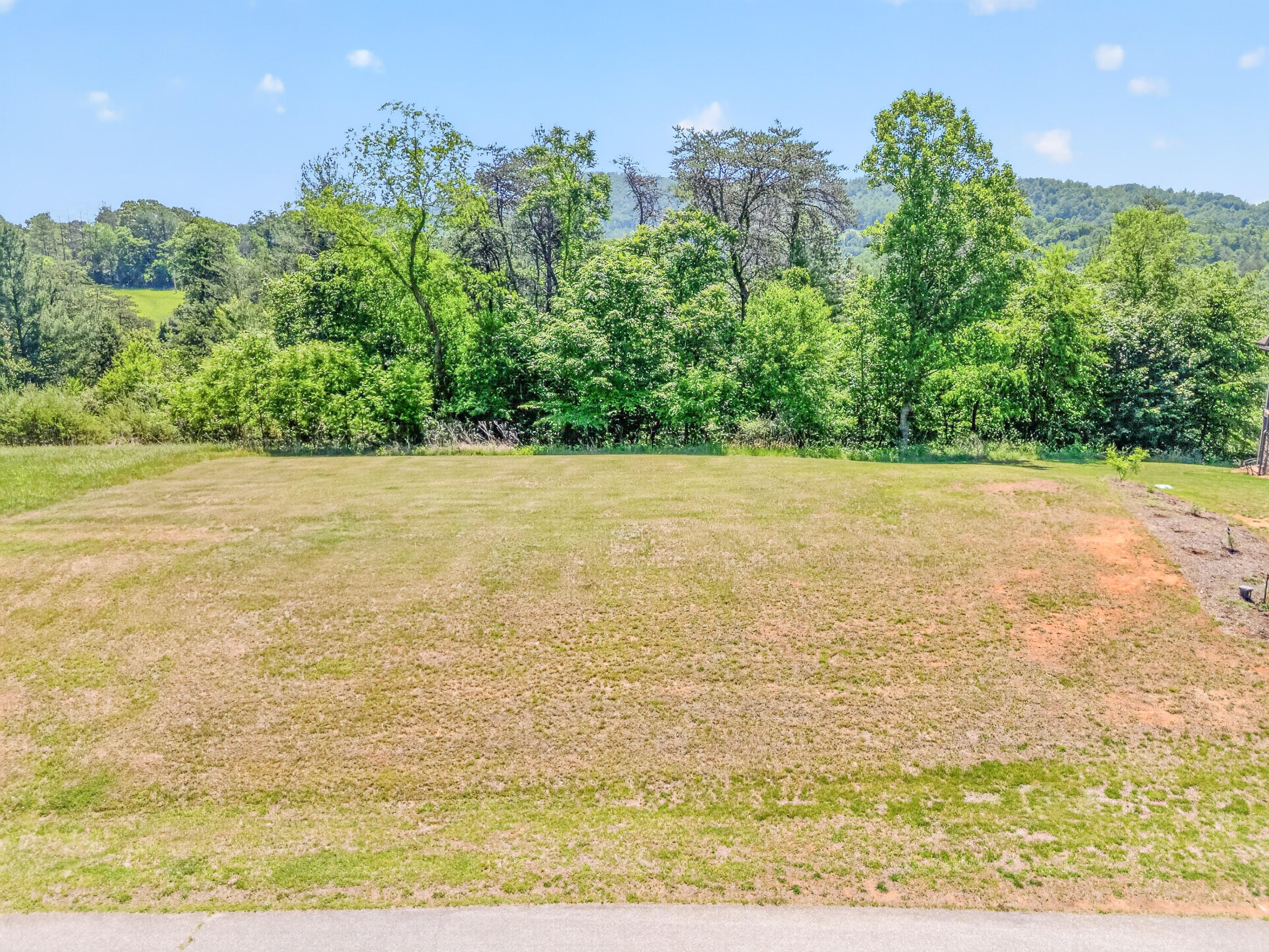 Lot 30 River Rock Road Vinton, VA 24179 - Photo 6 of 49 Vinton-8