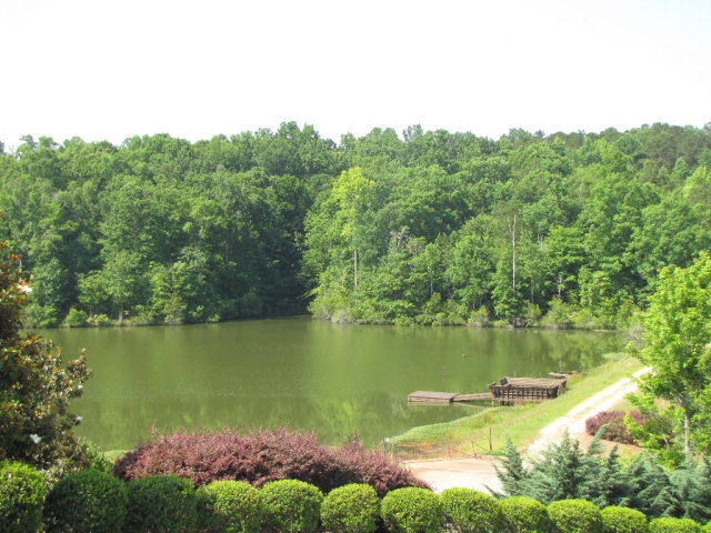 7715 Lynch Road Midland, GA 31820 - Photo 7 of 32