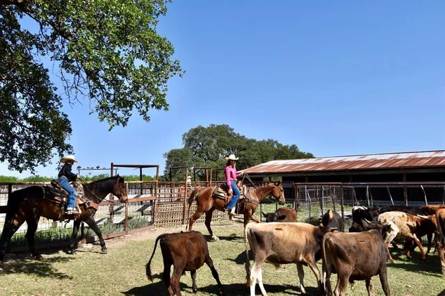 an outdoor space view with a sitting space