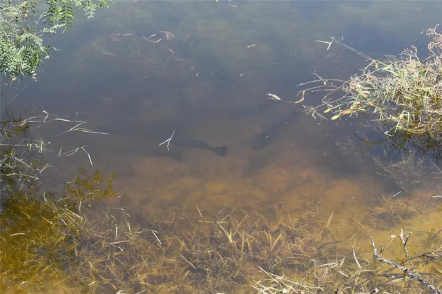 a view of a small space