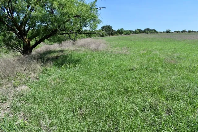 a view of lake with green space