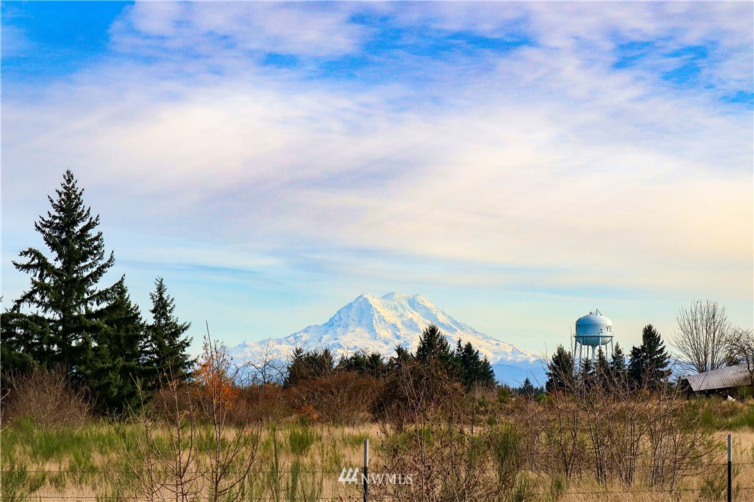 9331 Cullens Road Southeast Yelm, WA 98597 - Photo 27 of 28 a view of a lake and mountain in the back