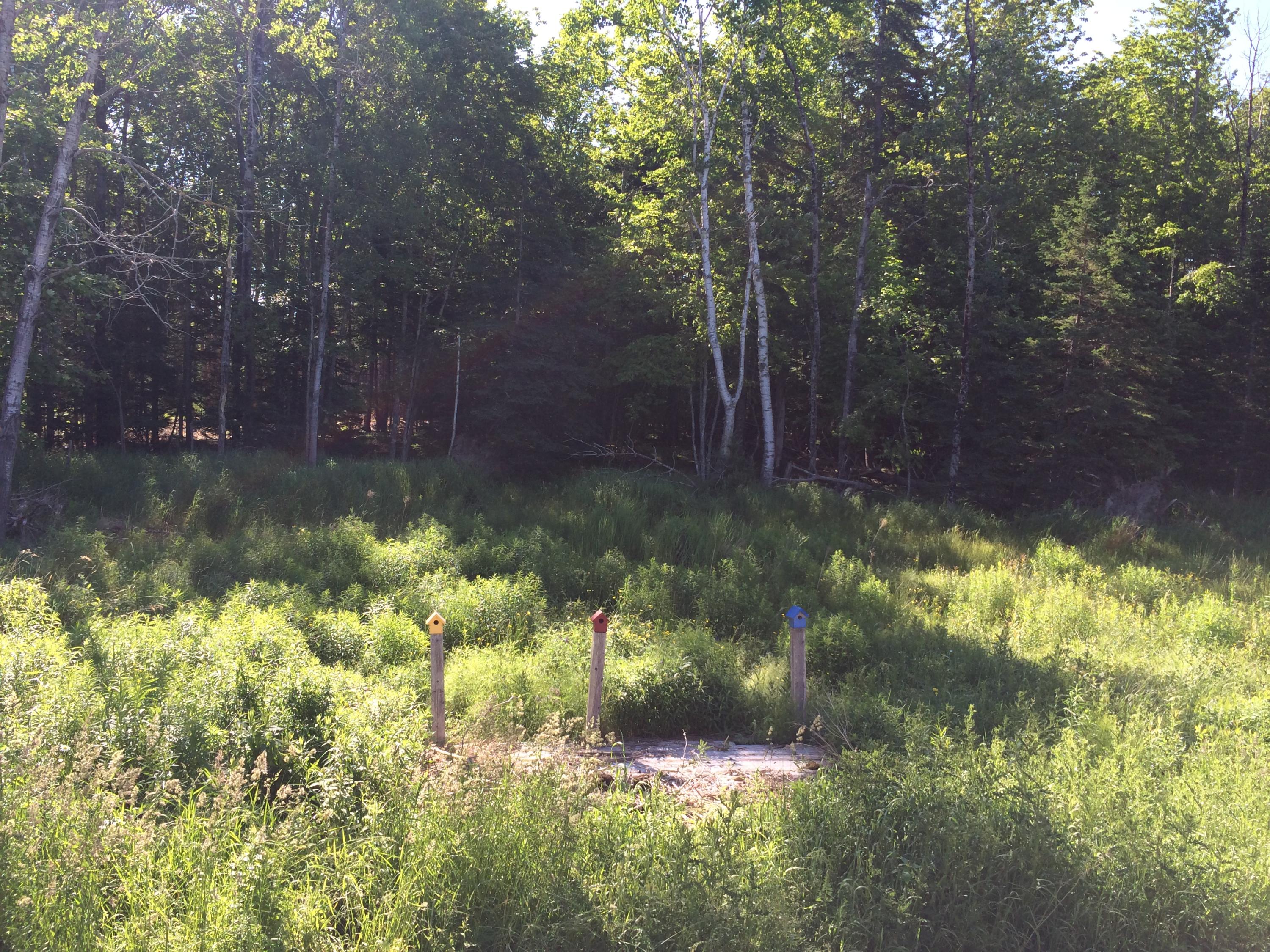 1099 Meadow Pond Road Islesboro, ME 04848 - Photo 36 of 44 Back Yard IMG_2809