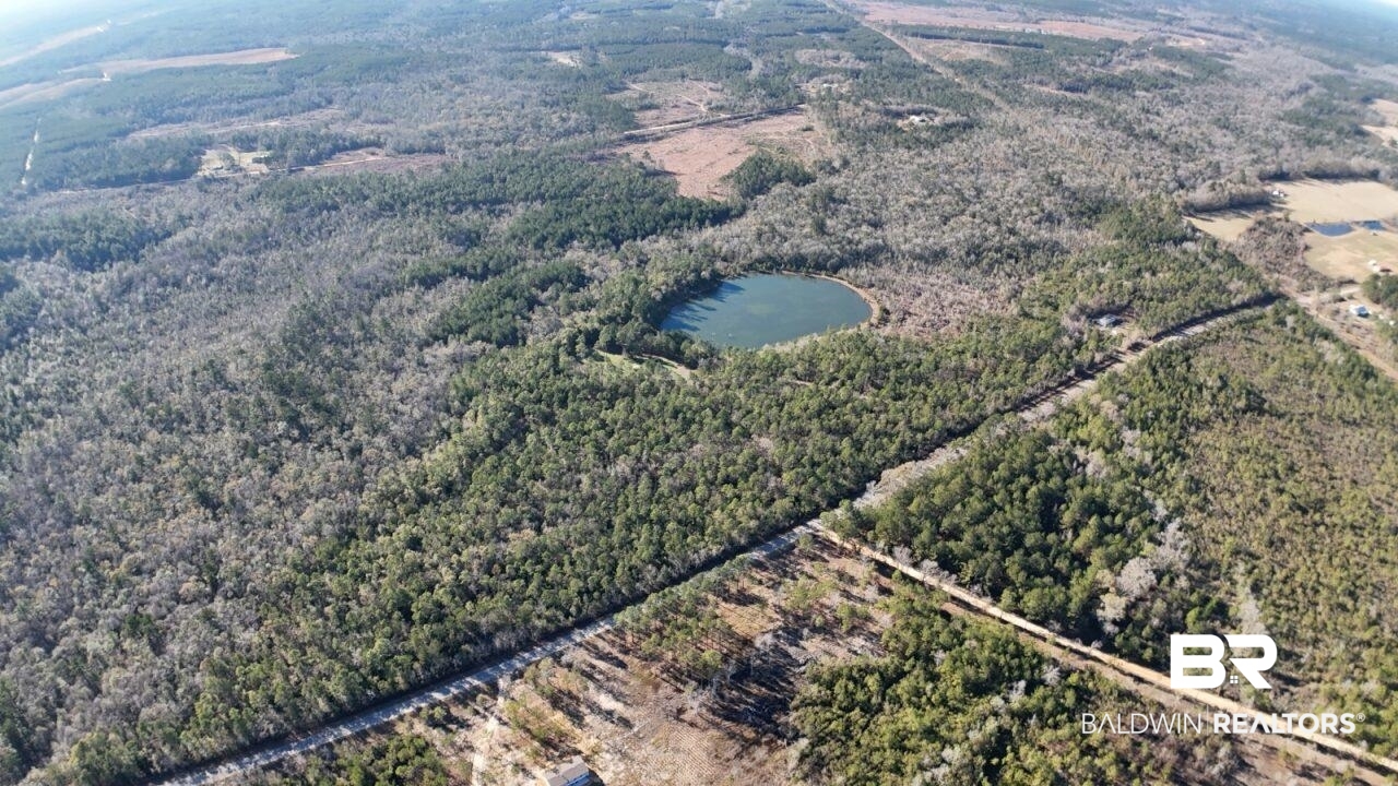 11808 Abb Road Tibbie, AL 36583 - Photo 26 of 31 Aerial view