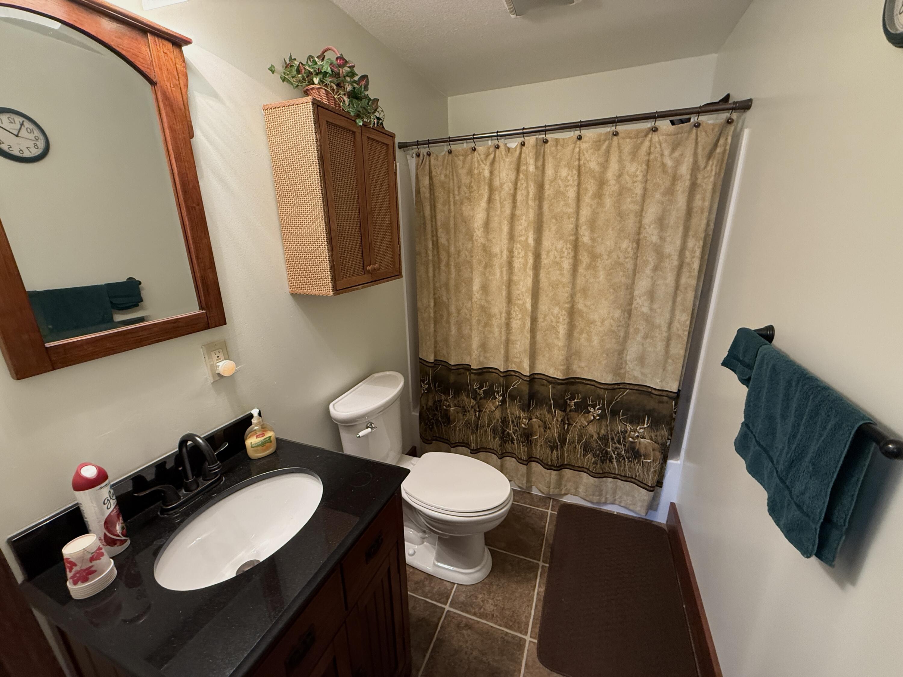 511 East Southern Road Coldwater, MI 49036 - Photo 36 of 49 Basement Bathroom