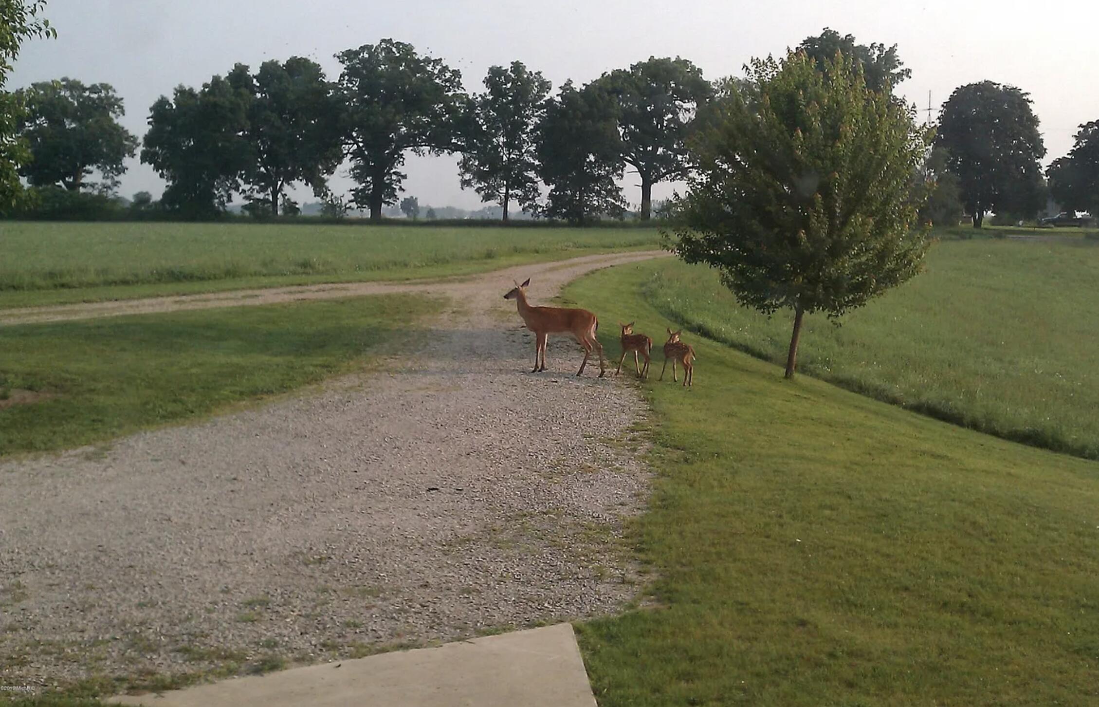 511 East Southern Road Coldwater, MI 49036 - Photo 41 of 49 Driveway