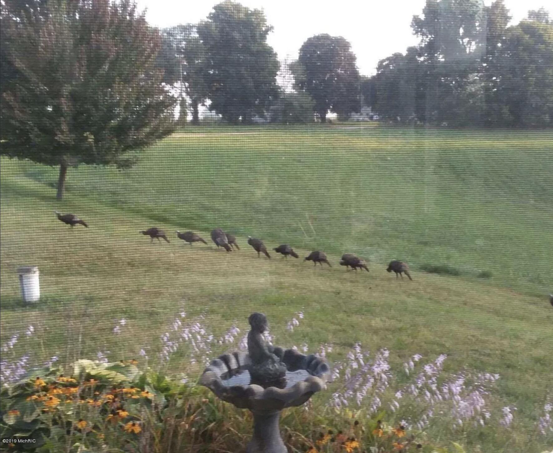 511 East Southern Road Coldwater, MI 49036 - Photo 43 of 49 Wildlife