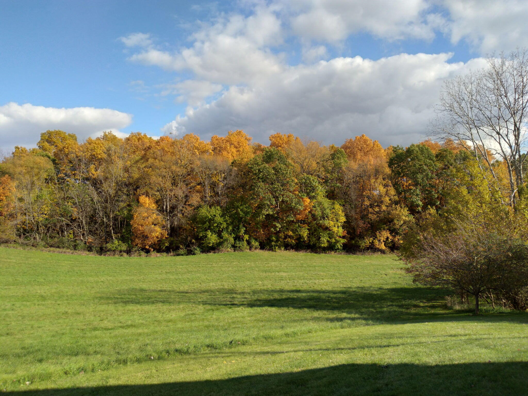 511 East Southern Road Coldwater, MI 49036 - Photo 48 of 49 Scenery