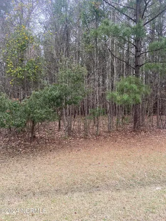$42,500 | Lot 88 Johnson Drive, Hertford, NC 27944