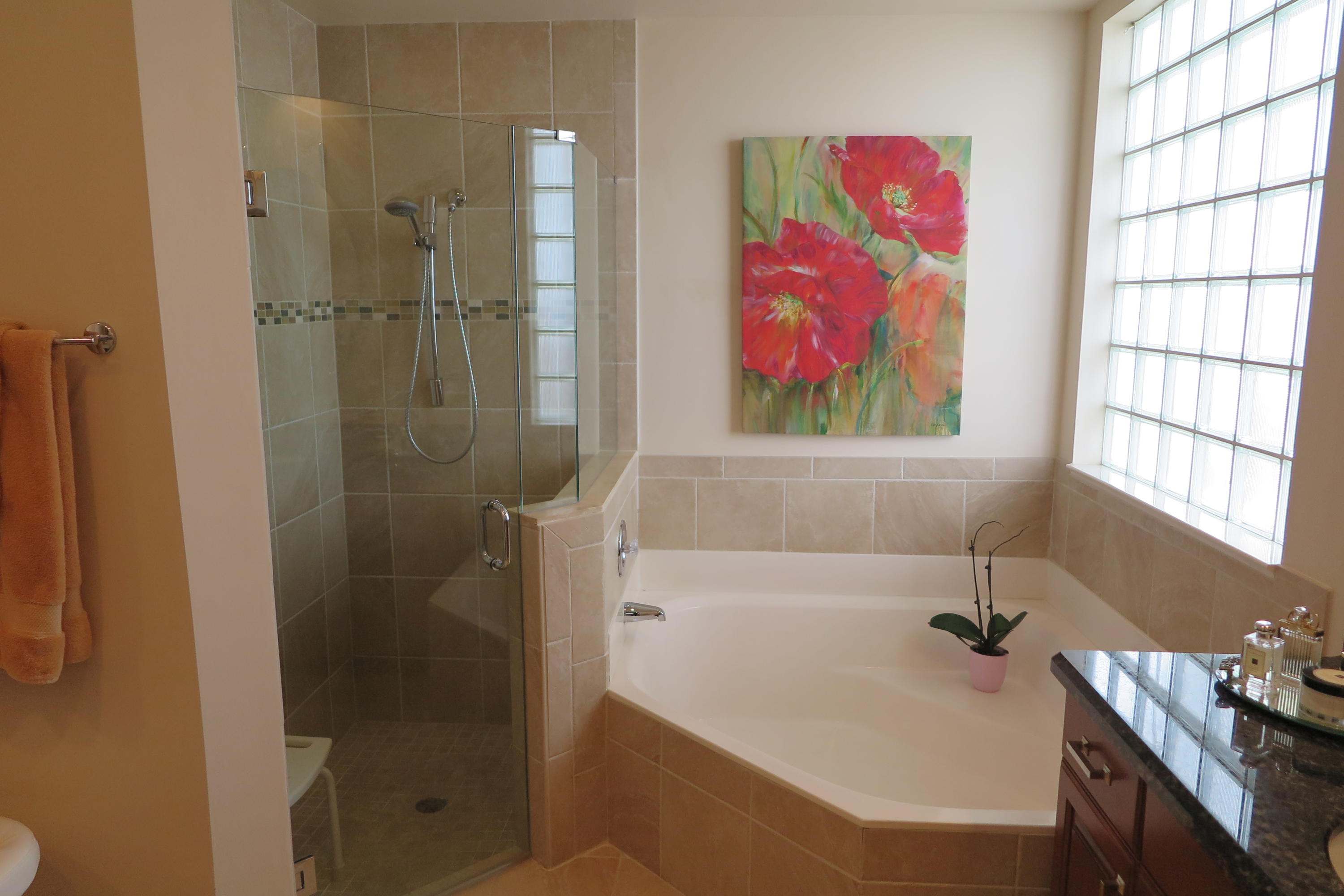 23290 Torre Circle Boca Raton, FL 33433 - Photo 11 of 20 master bath
