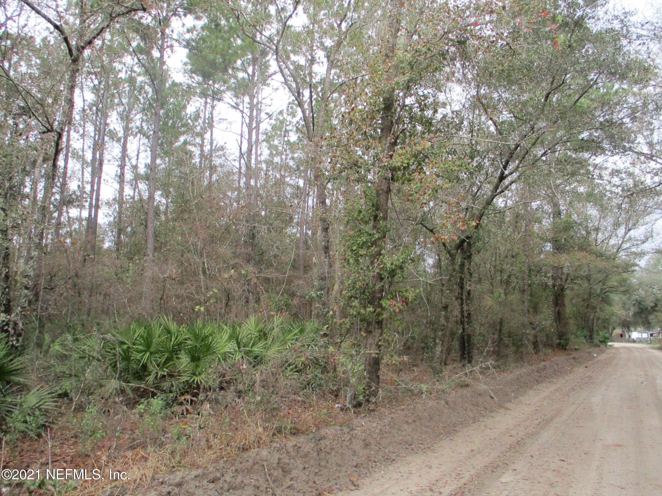 0 Benny Joe Bennett Road Sanderson, FL 32087 - Photo 3 of 11 IMG_0723