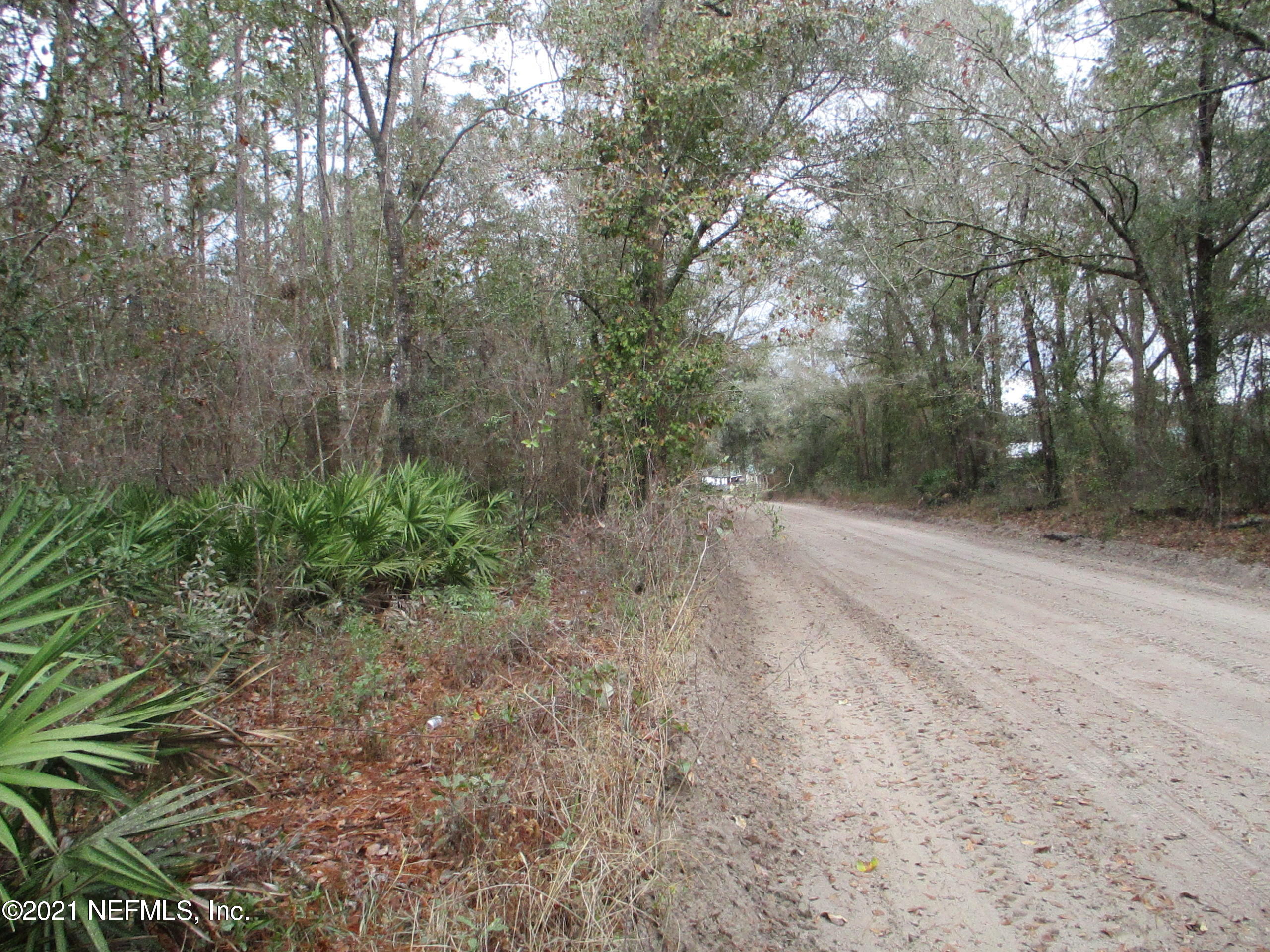 0 Benny Joe Bennett Road Sanderson, FL 32087 - Photo 8 of 11 IMG_0729