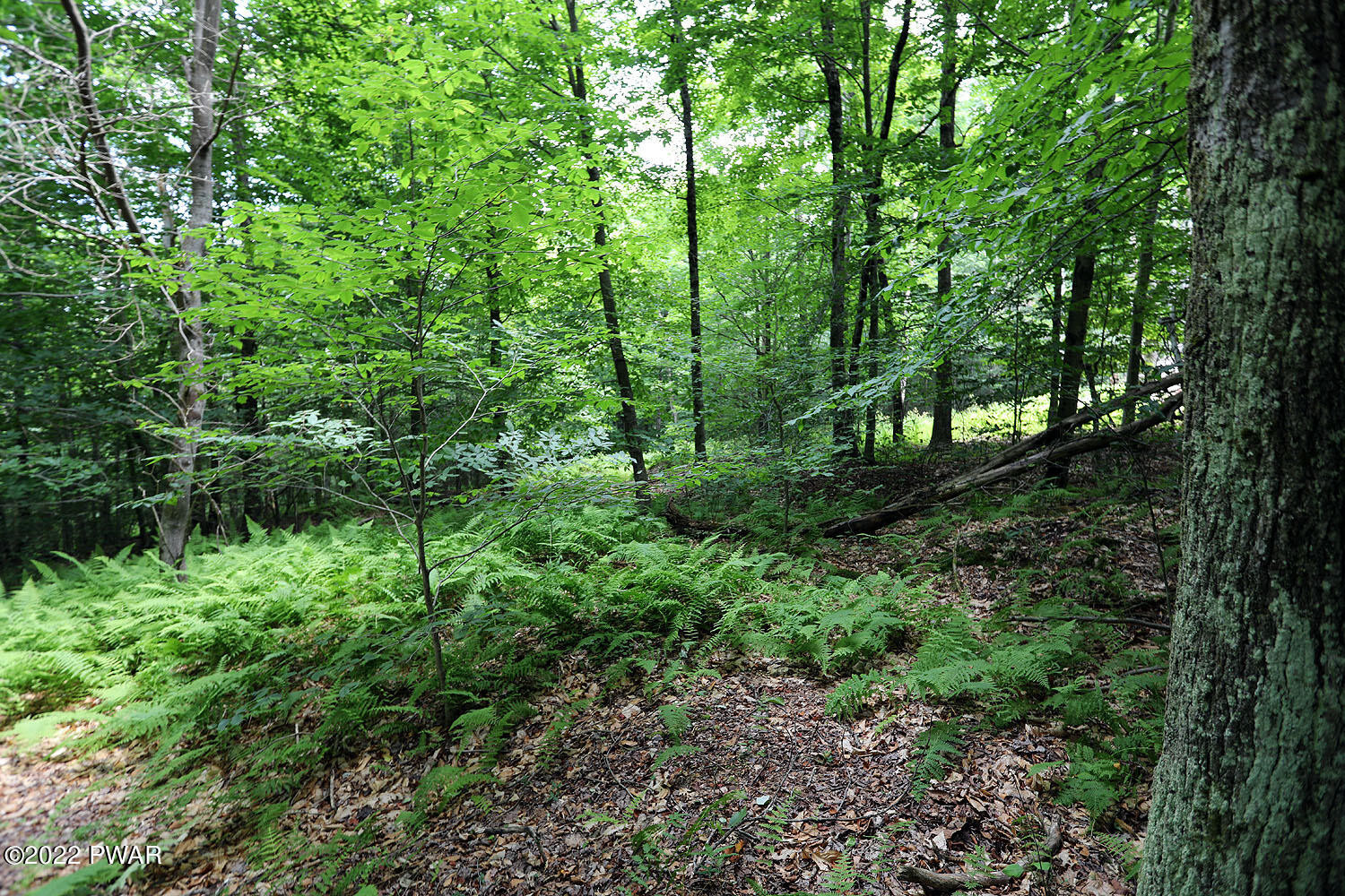 0 Minckler Mountain Road Damascus, PA 18415 - Photo 35 of 43