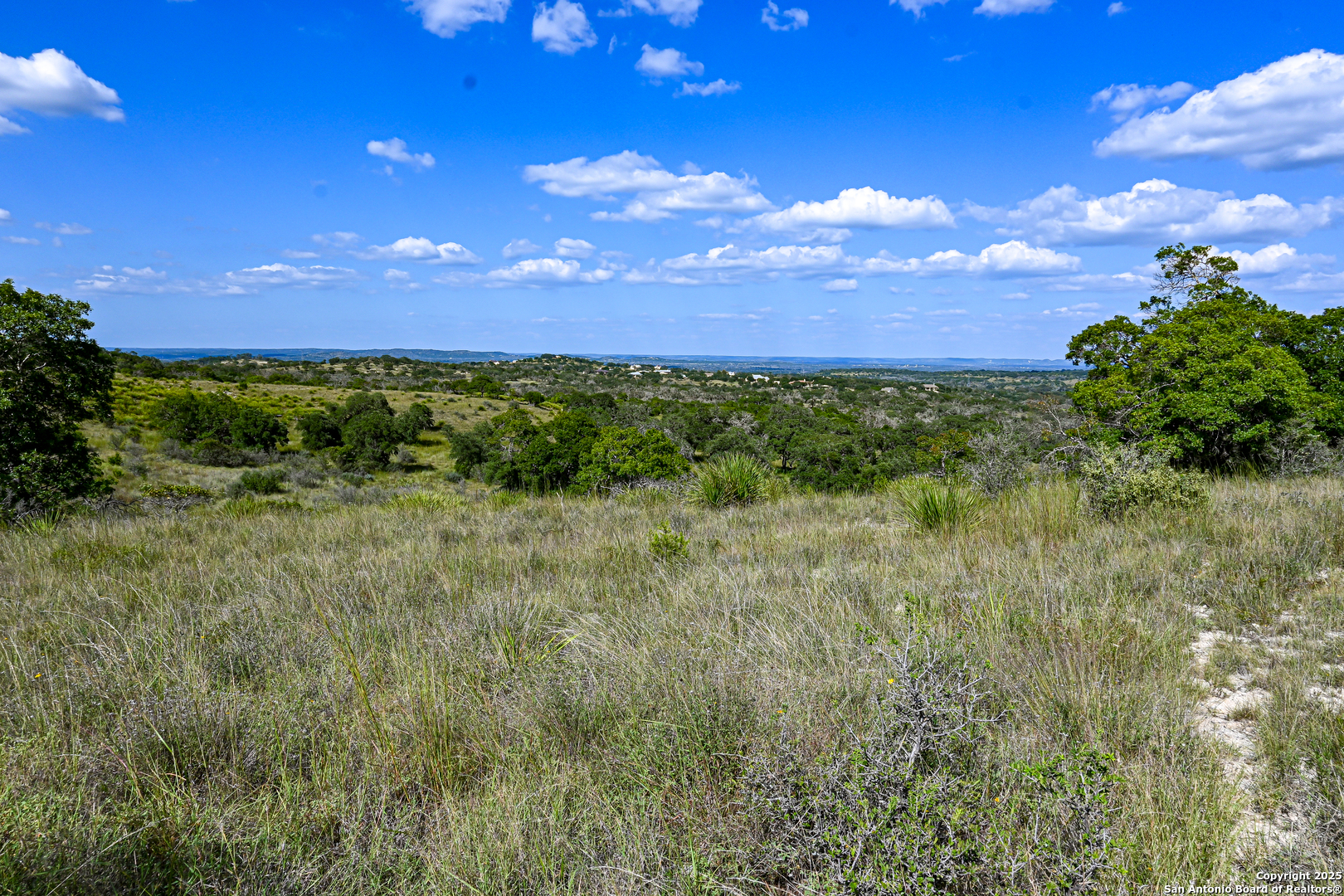 Tract 4 Jungfrau Hill Road Comfort, TX 78013 - Photo 16 of 25 a view of a city with lush green forest