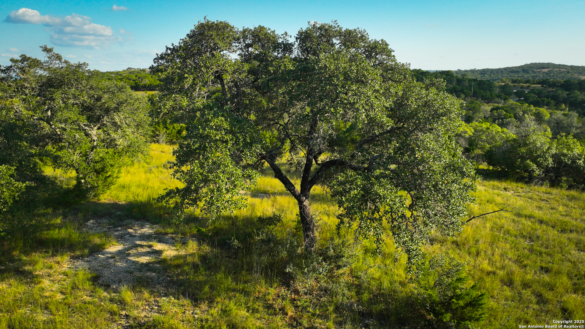 Tract 4 Jungfrau Hill Road Comfort, TX 78013 - Photo 2 of 25 a view of a tree