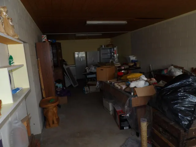 a view of a forest with trees and houses