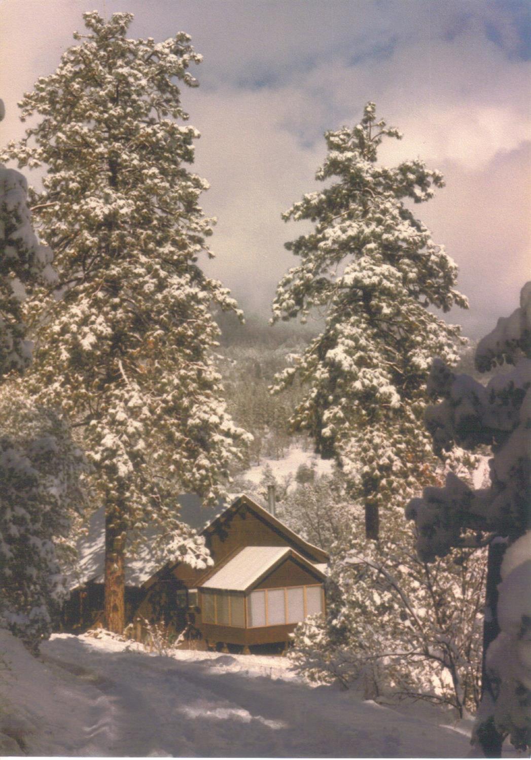 52925 Hogback Miramonte, CA 93603 - Photo 54 of 89